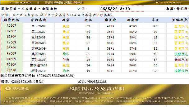 策略定制20260522.png