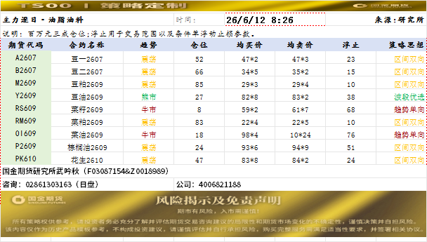 策略定制20260612.png